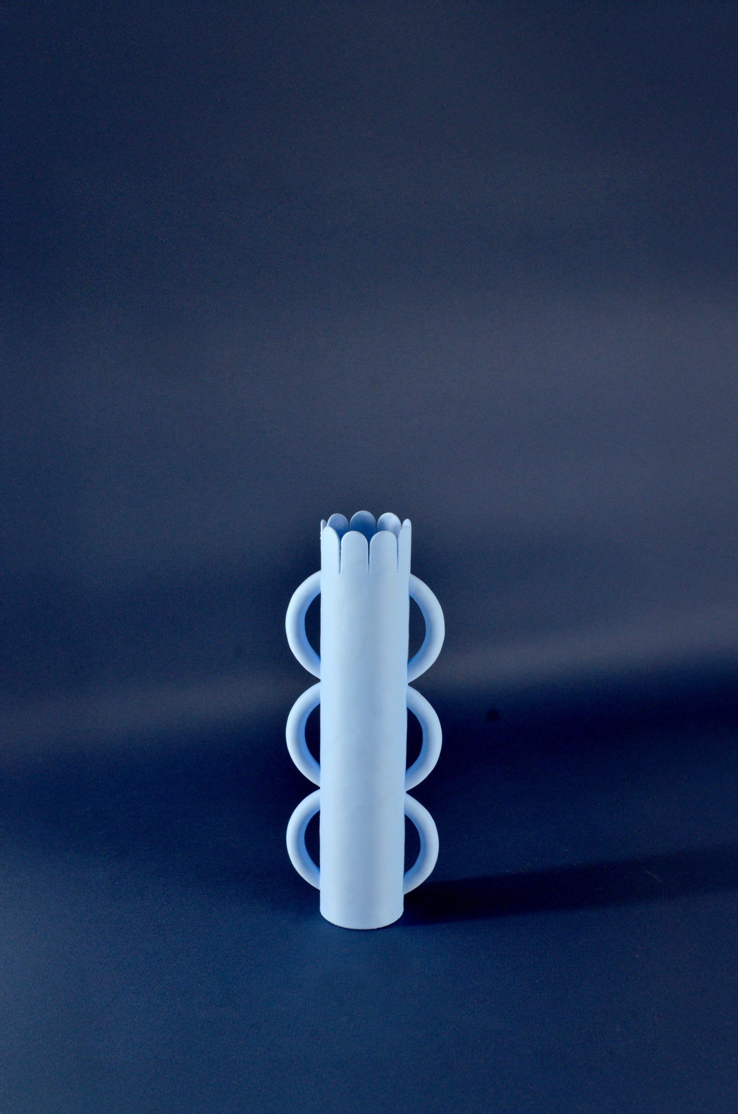 Kit Spring vase et fleurs illustrées